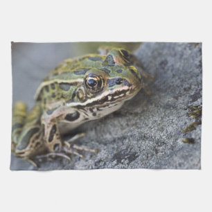 Northern Leopard frog, See-through Island, Tea Towel
