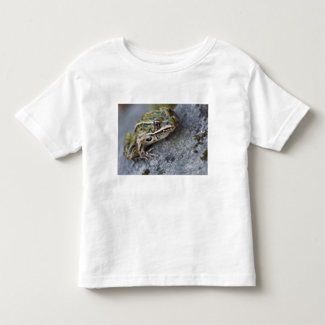 Northern Leopard frog, See-through Island, Toddler T-Shirt (Front)