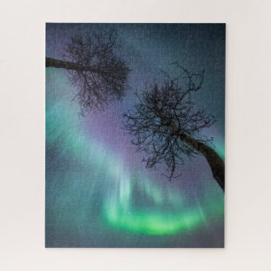 Northern Light Trees Jigsaw Puzzle