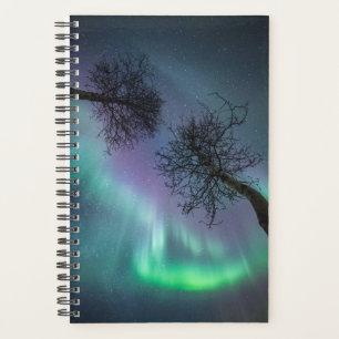 Northern Light Trees Planner