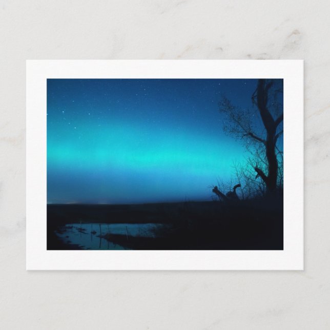 Northern Lights and a pond Postcard (Front)