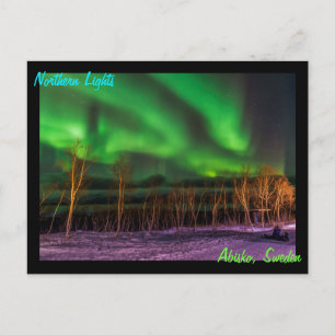 Northern Lights Aurora Borealis Abisko Sweden Postcard