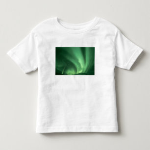 Northern lights, Aurora borealis, over foothills Toddler T-Shirt