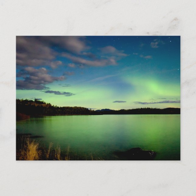 Northern lights (Aurora borealis) Postcard (Front)