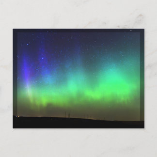Northern Lights - black border postcard