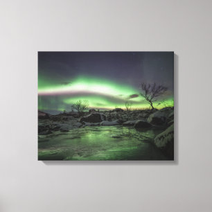 Northern Lights Canvas Print