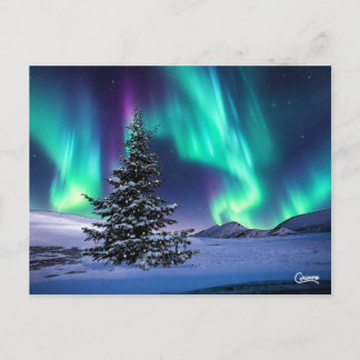 Northern Lights Christmas - Postcard