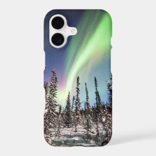 Northern Lights Denali National Park