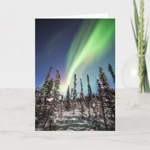 Northern Lights   Denali National Park Card
