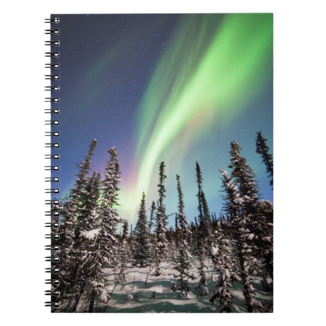 Northern Lights | Denali National Park Notebook (Front)
