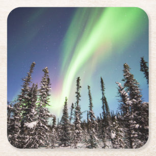 Northern Lights   Denali National Park Square Paper Coaster