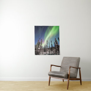 Northern Lights   Denali National Park Tapestry