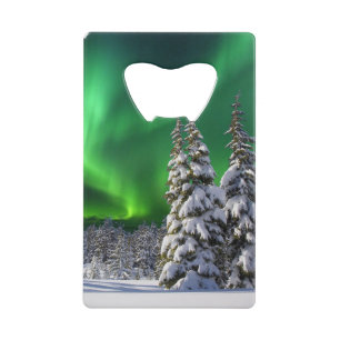 Northern lights during winter