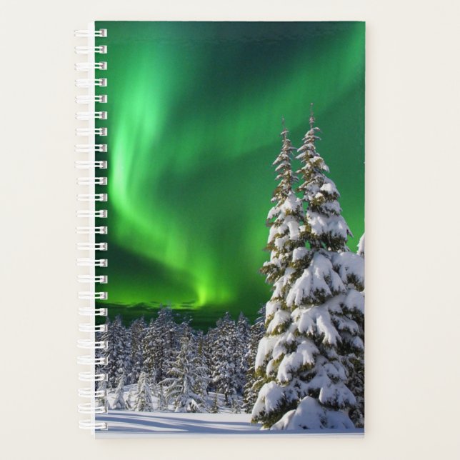 Northern lights during winter planner (Front)