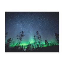 Northern Lights Forest