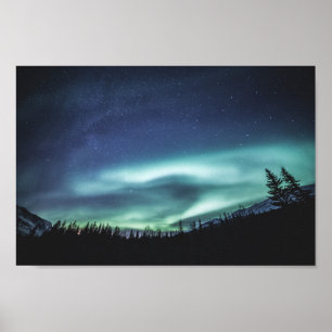 Northern Lights Forest Poster