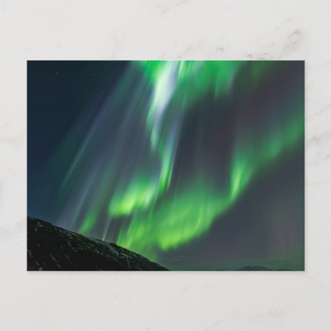 Northern Lights Glowing | North Iceland Postcard (Front)