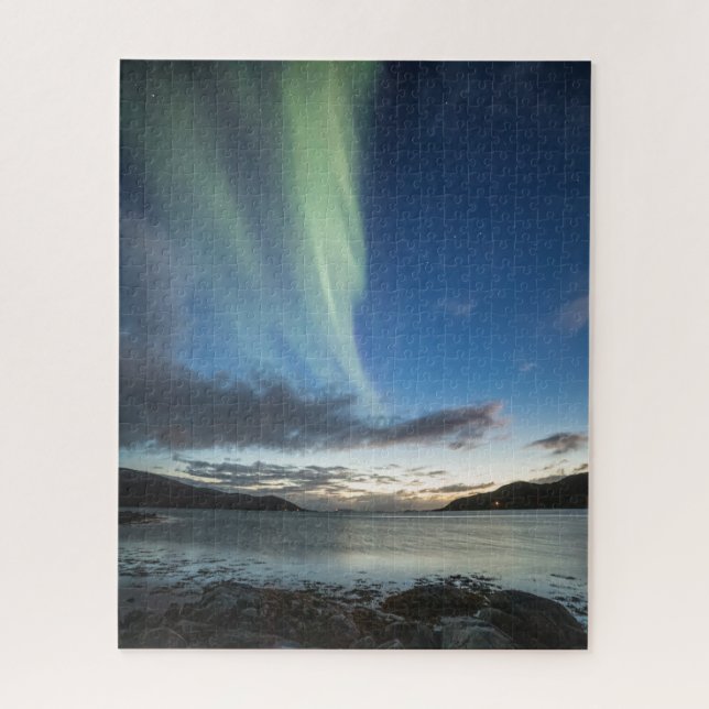 Northern Lights in Norway Jigsaw Puzzle (Vertical)