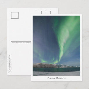 Northern Lights in Norway Postcard