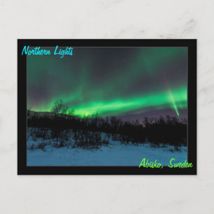 Northern Lights in Sweden Postcard