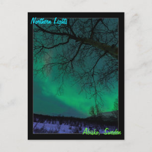 Northern Lights in Sweden Postcard