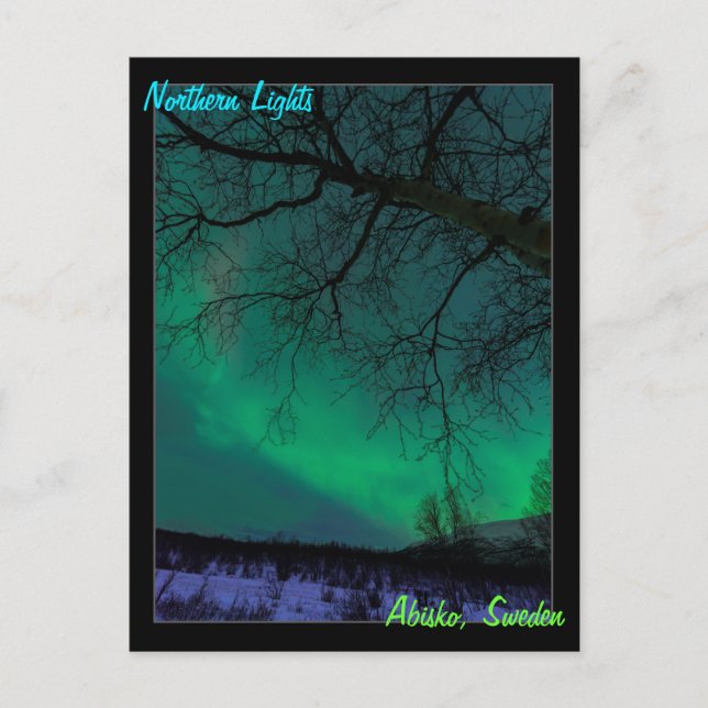 Northern Lights in Sweden Postcard (Front)