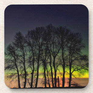 Northern Lights Manitoba Canada Grande Pointe Coaster