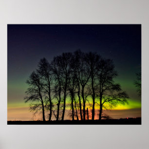 Northern Lights   Manitoba Canada Grande Pointe Poster