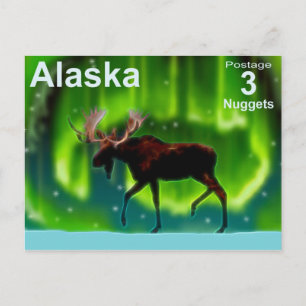 Northern Lights Moose Postcard