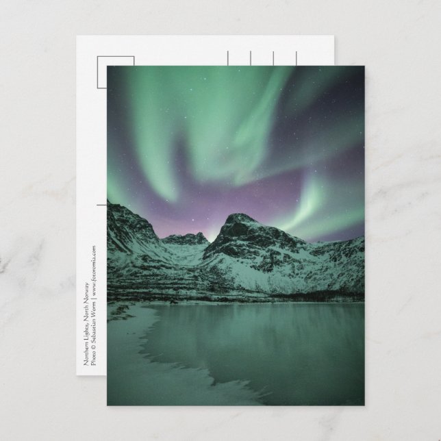 Northern Lights Nature Photo Postcard (Front/Back)