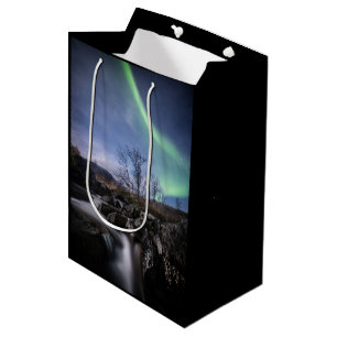 Northern Lights Norway Medium Gift Bag