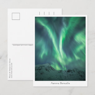 Northern Lights Norway Postcard