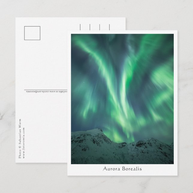 Northern Lights Norway Postcard (Front/Back)