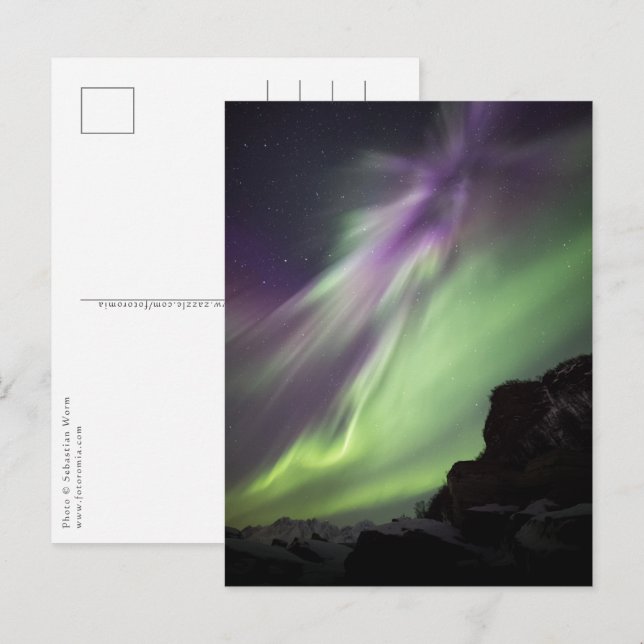 Northern Lights Norway Postcard (Front/Back)