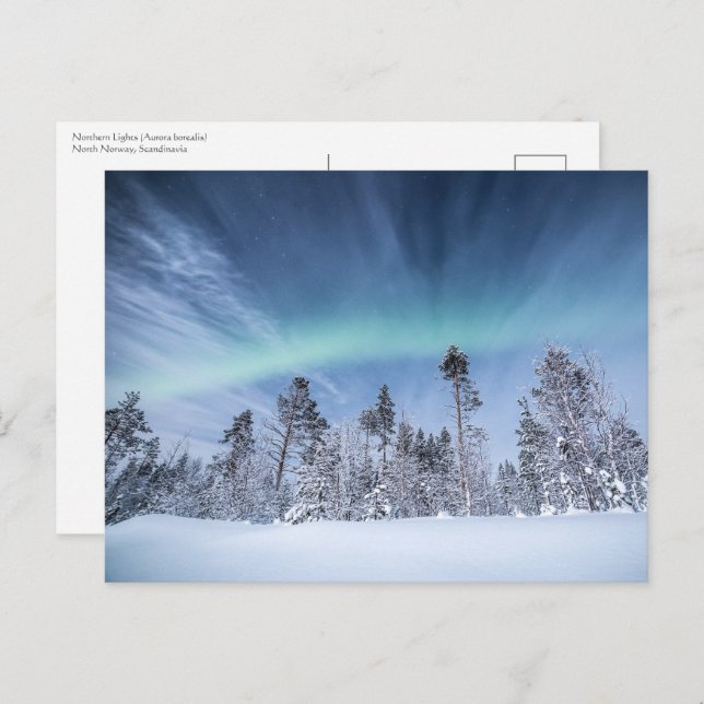 Northern Lights Norway Postcard (Front/Back)