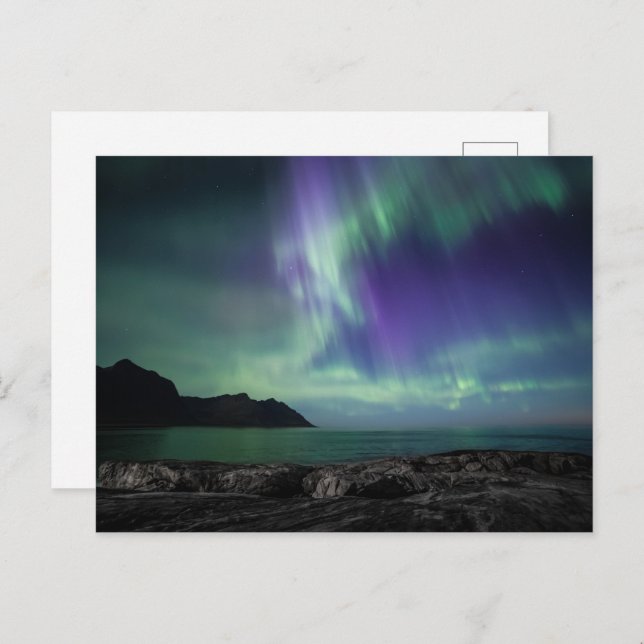Northern Lights Norway Postcard (Front/Back)