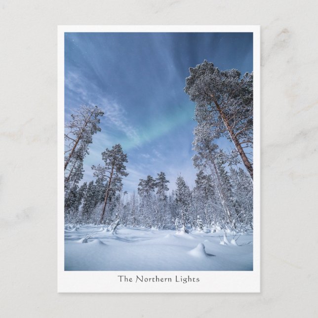 Northern Lights Norway Postcard (Front)
