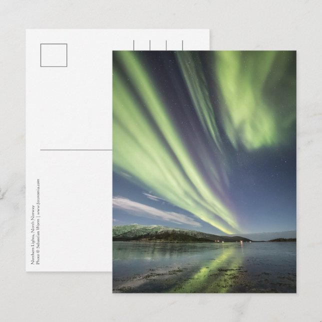 Northern Lights Norway Postcard (Front/Back)