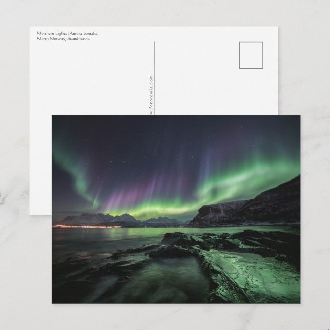 Northern Lights Norway Postcard (Front/Back)