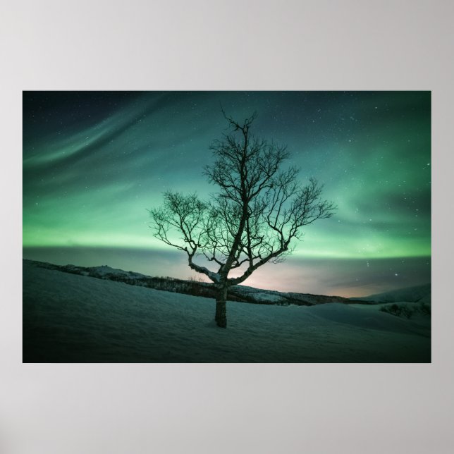 Northern Lights Norway Poster (Front)