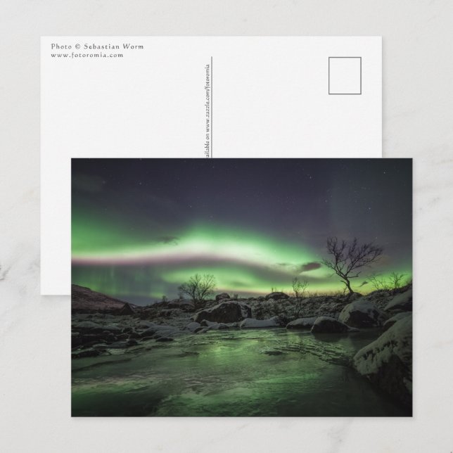 Northern Lights Postcard (Front/Back)