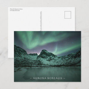 Northern Lights Postcard