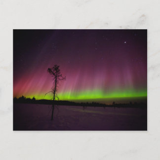 Northern lights postcard