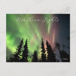 Northern Lights - Postcard