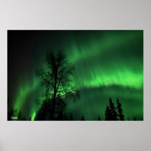 Northern Lights - Poster