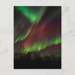 Northern Lights Scandinavia, Iceland Postcard
