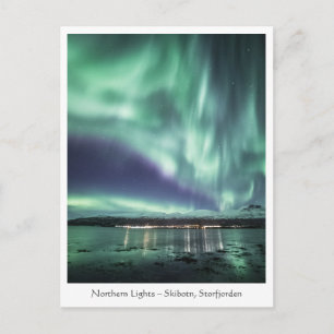 Northern Lights Skibotn Postcard