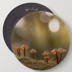 Northern Lights Sky 6 Cm Round Badge