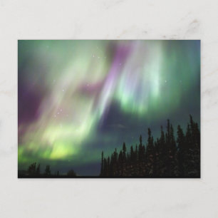 Northern Lights Sky Peace Love Winter Photograph Postcard