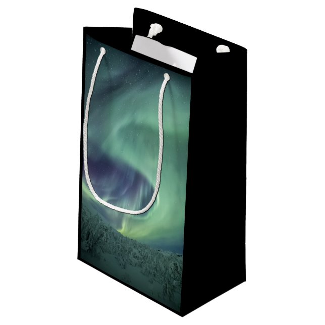 Northern Lights Small Gift Bag (Back Angled)